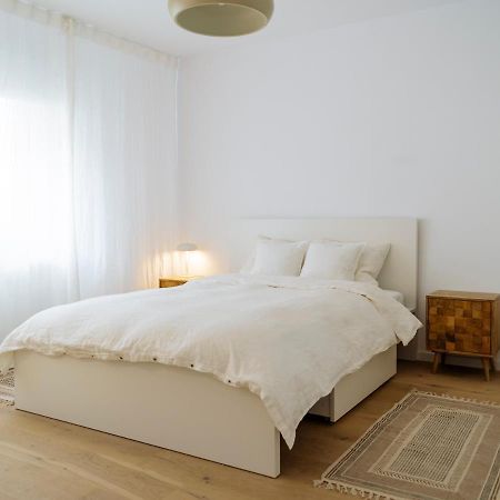 Cozy Central Apartment Near The Forest 布拉索夫 外观 照片