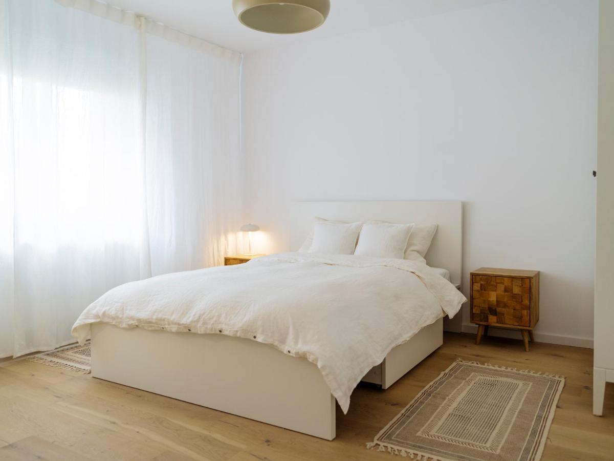 Cozy Central Apartment Near The Forest 布拉索夫 外观 照片