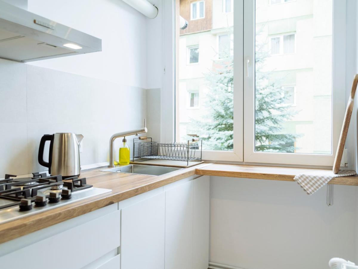 Cozy Central Apartment Near The Forest 布拉索夫 外观 照片