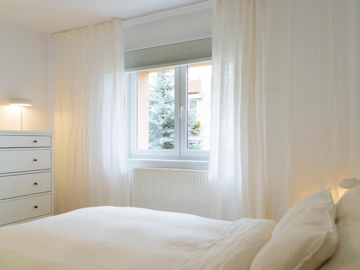 Cozy Central Apartment Near The Forest 布拉索夫 外观 照片