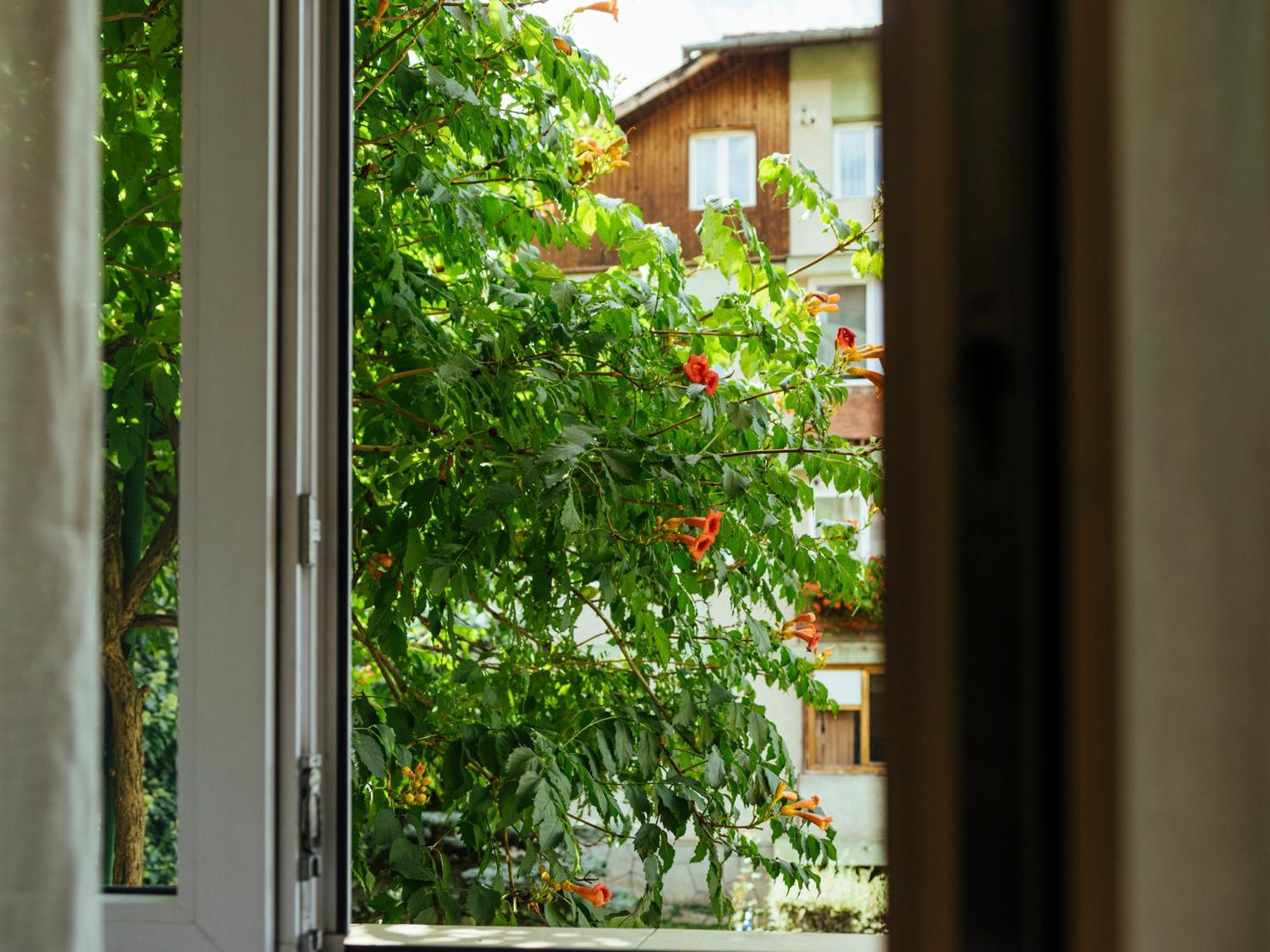 Cozy Central Apartment Near The Forest 布拉索夫 外观 照片