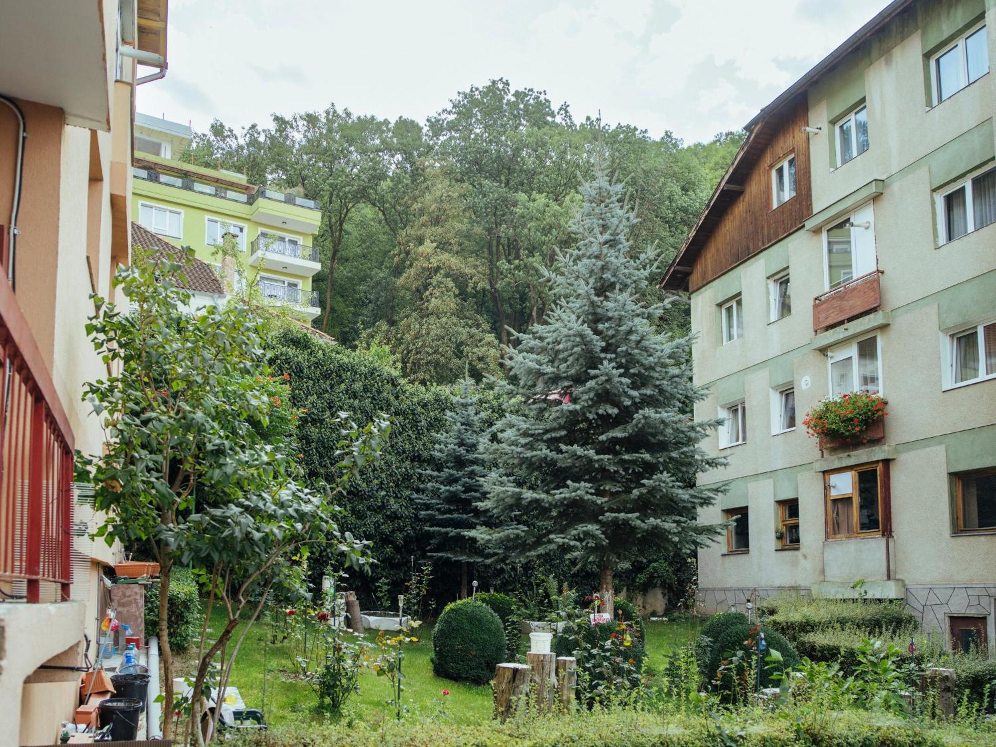 Cozy Central Apartment Near The Forest 布拉索夫 外观 照片